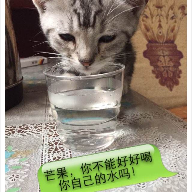 格拉斯哥卡利多尼安大学DiplomainEnvironmentalScience